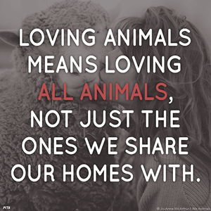 Quote: Loving animals means loving all animals not just the ones we share our homes with