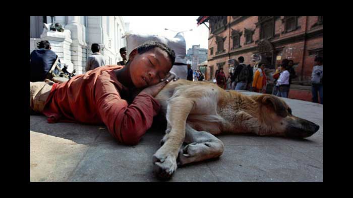 A boy and a dog sleeping on the street