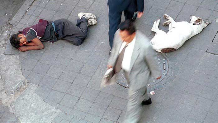 Muchacho y pero durmiendo en la calle mientras la gente transita