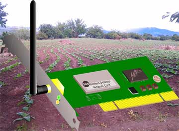 A desktop wireless network card, and for background a tabaco field