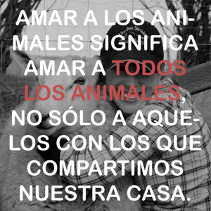 Cita: amar a los animales significa amar a todos los animales no solamente aquellos con los que compartimos nuestra casa